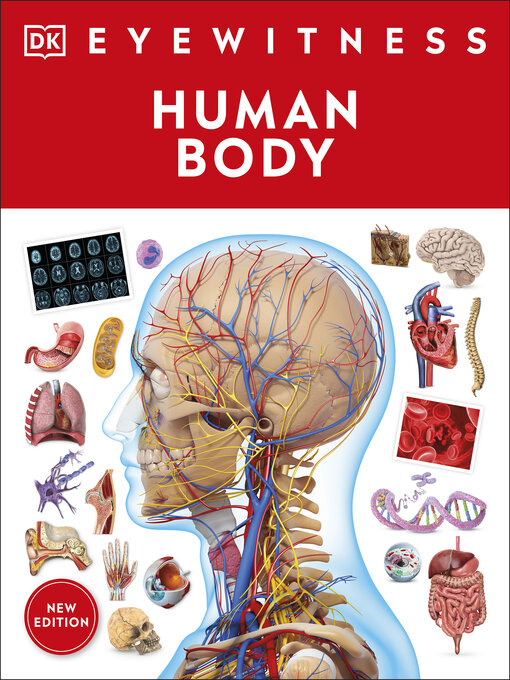 Cover image for Human Body